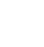 Owlexware Logo